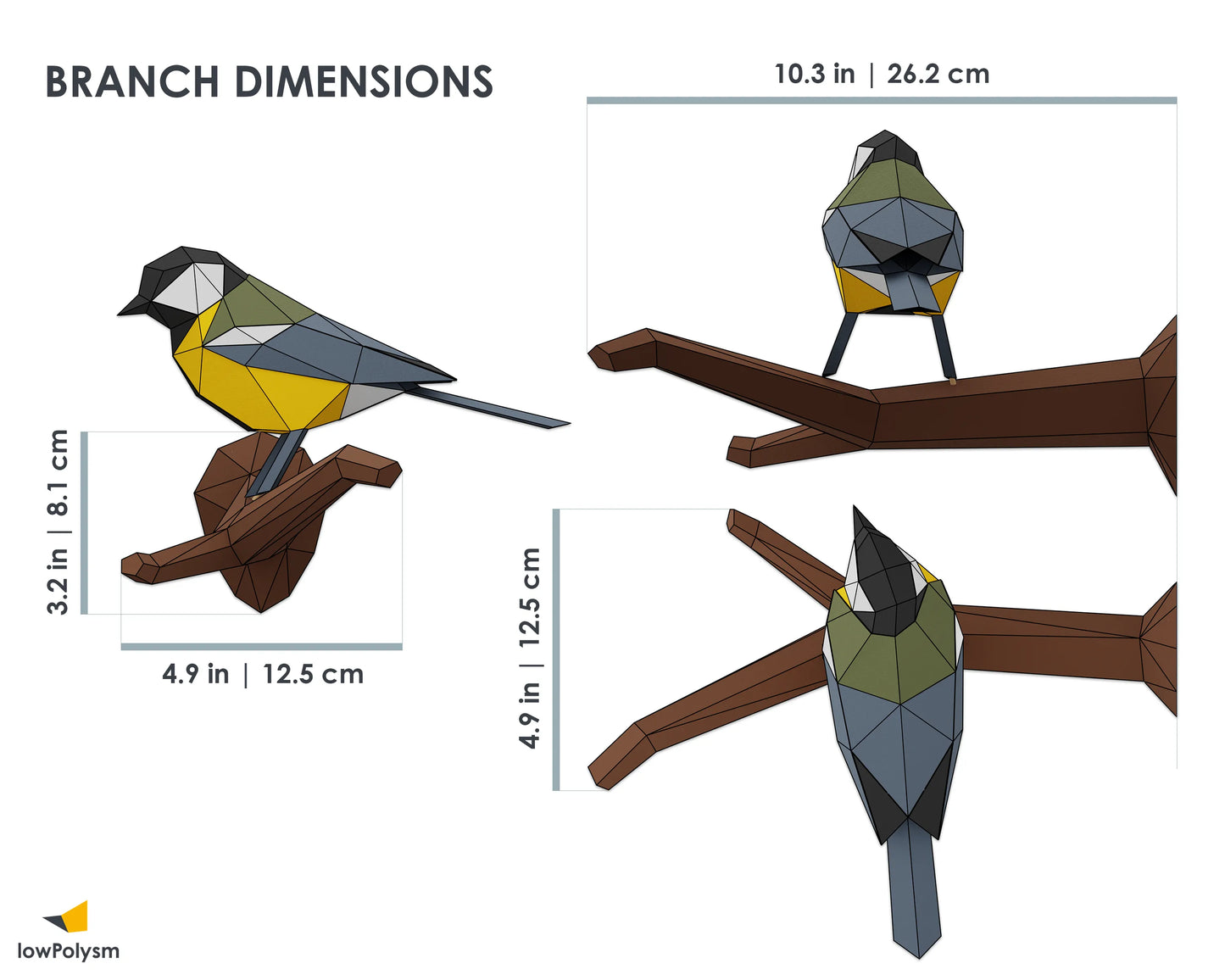GREAT TIT: DIY 3D Papercraft - Lowpoly Bird on Branch - 3D Paper Model