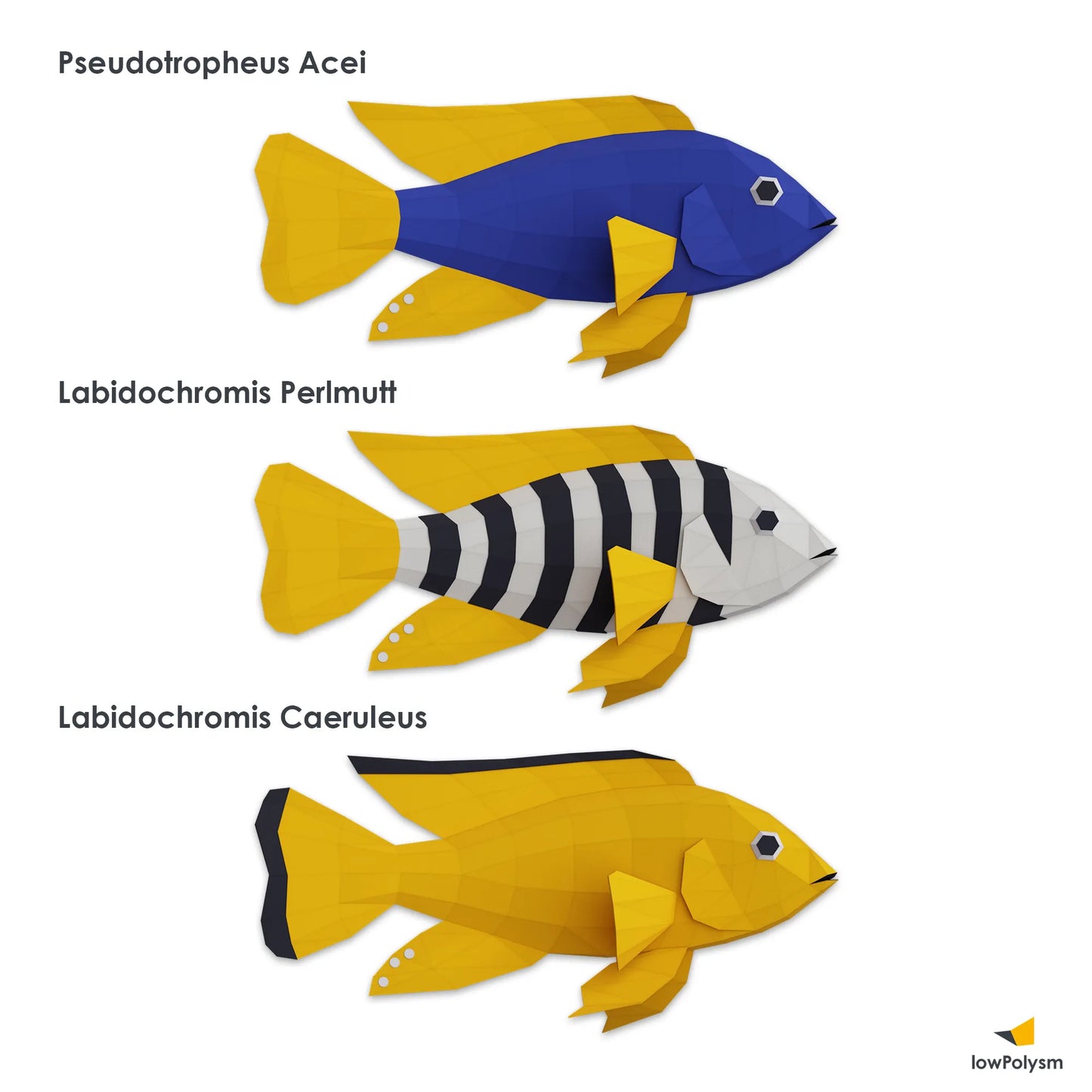 African Cichlid papercraft fish variants representing Labidochromis Acei, Labidochromis Perlmutt, and Labidochromis Caeruleus species.