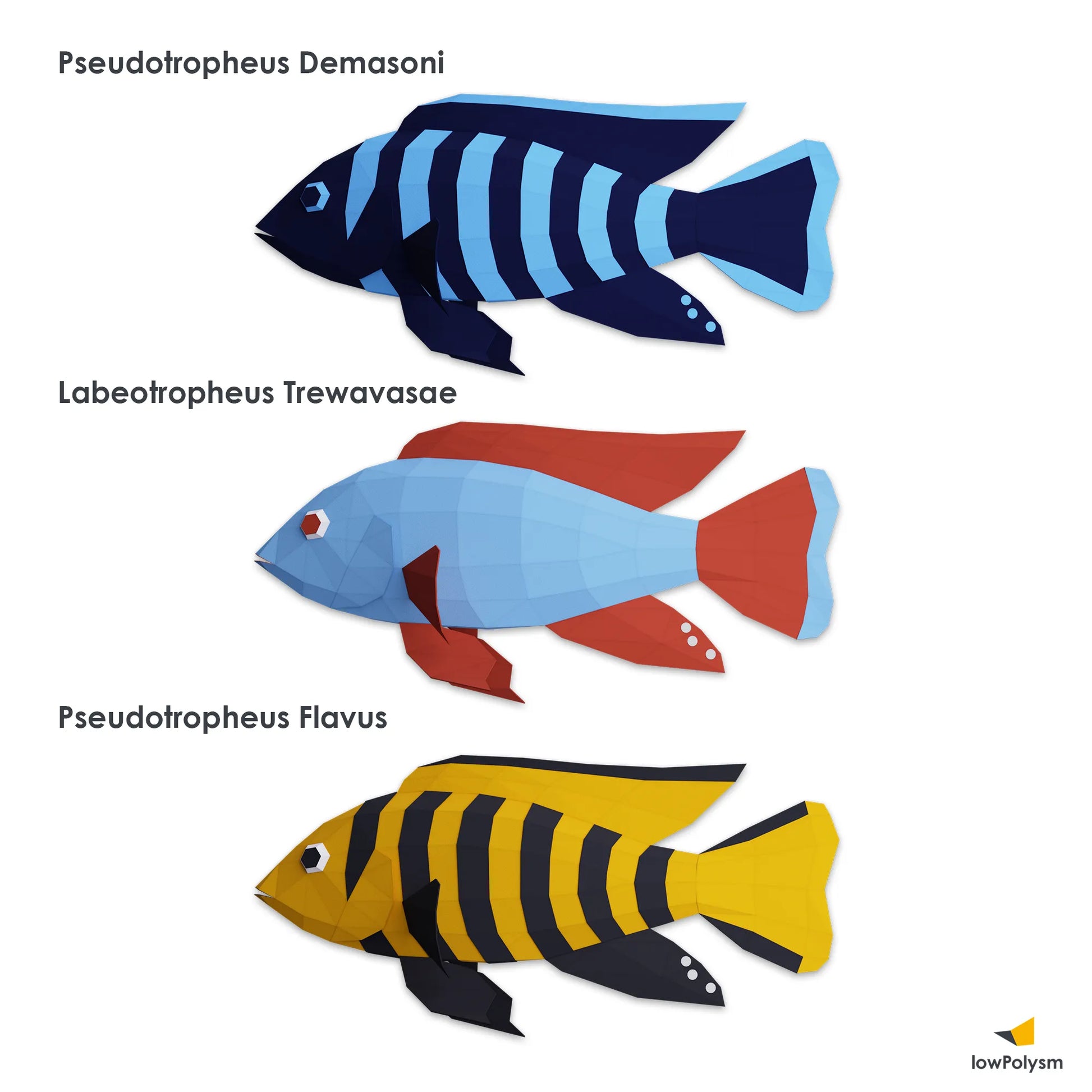 Papercraft African Cichlid models showing species Pseudotropheus Demasoni, Labeotropheus Trewavasae, and Pseudotropheus Flavus.