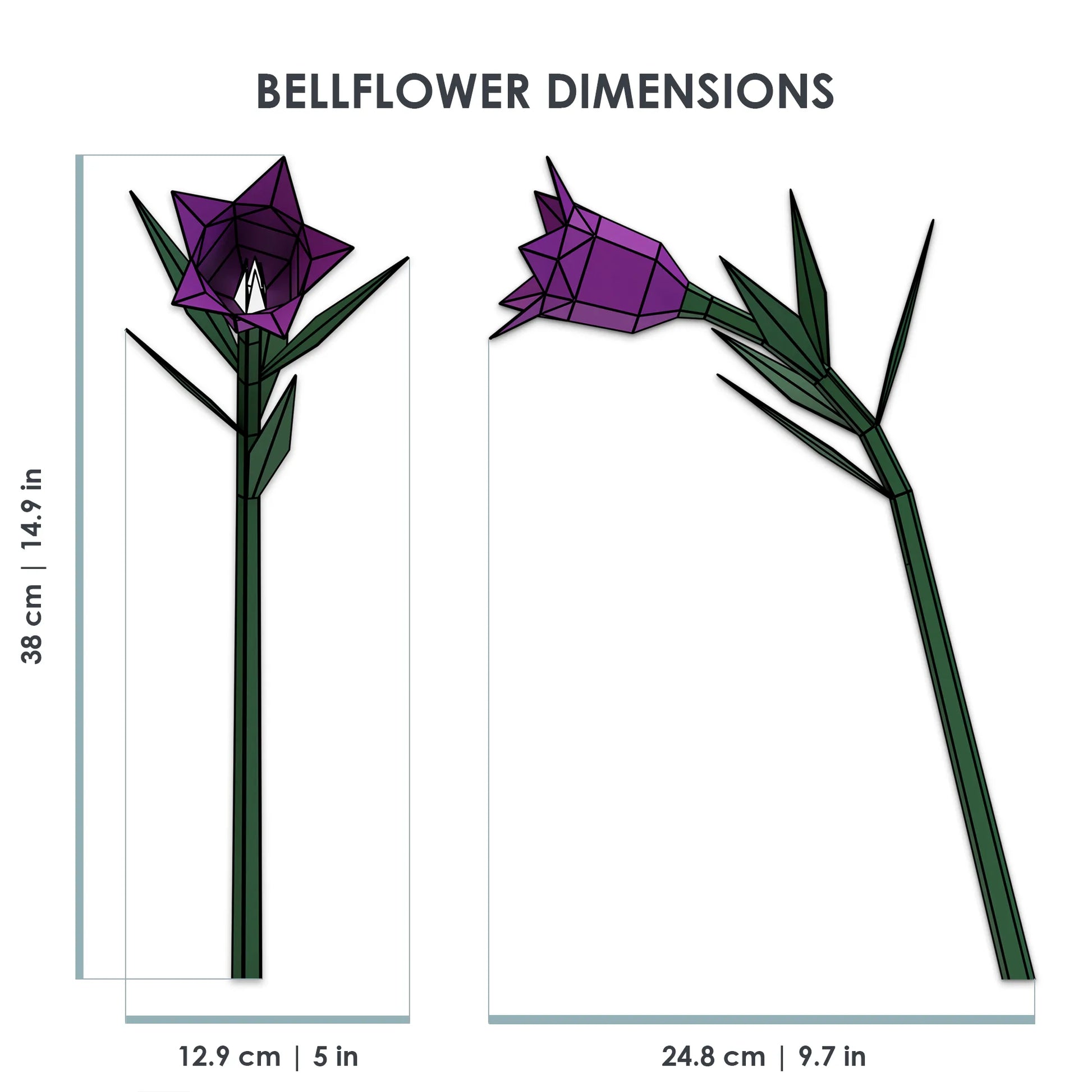 Technical drawing showing the 38cm height and 12.9cm width dimensions of the low-poly BELLFLOWER 3D papercraft model.