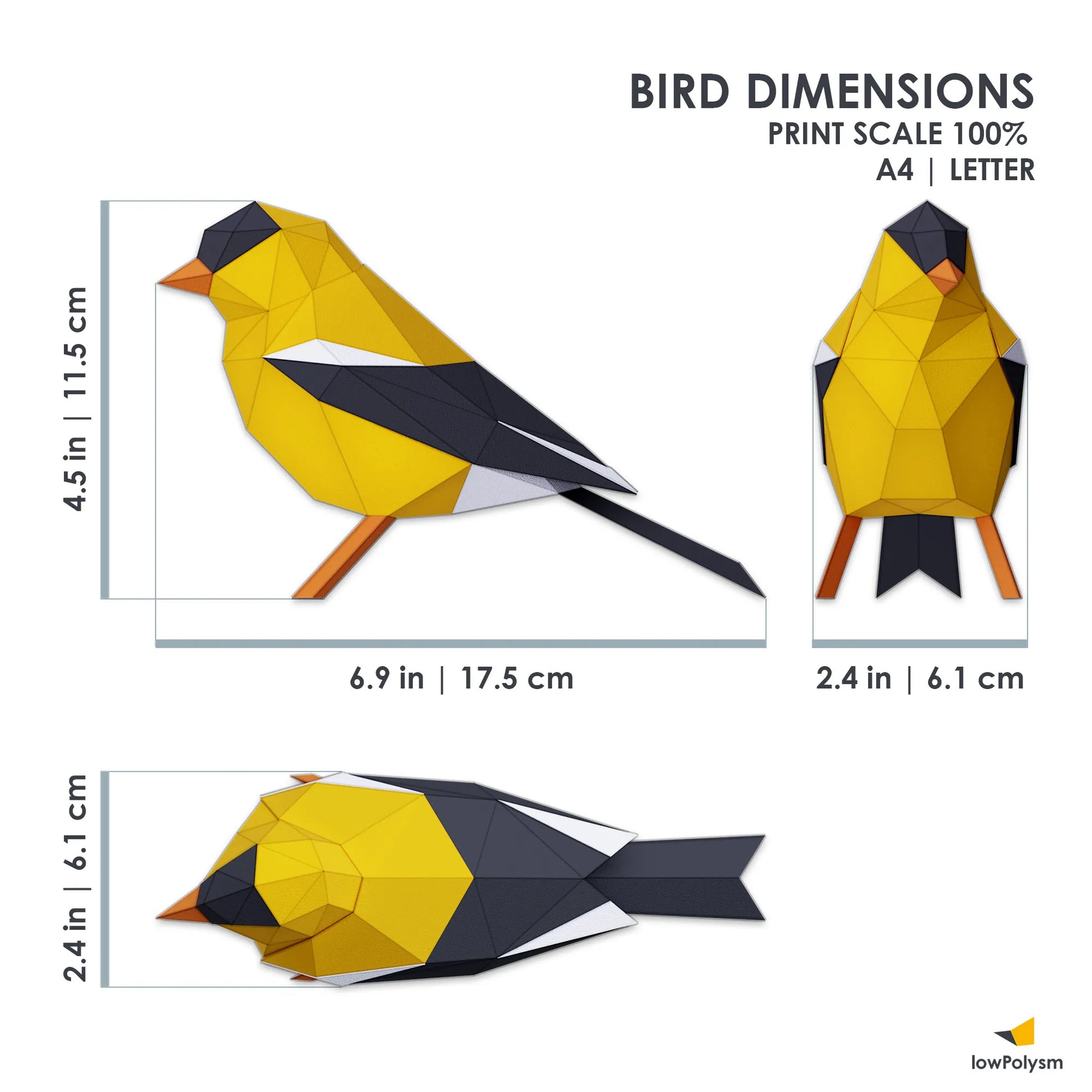 Us goldfinch bird 3d paper model dimensions