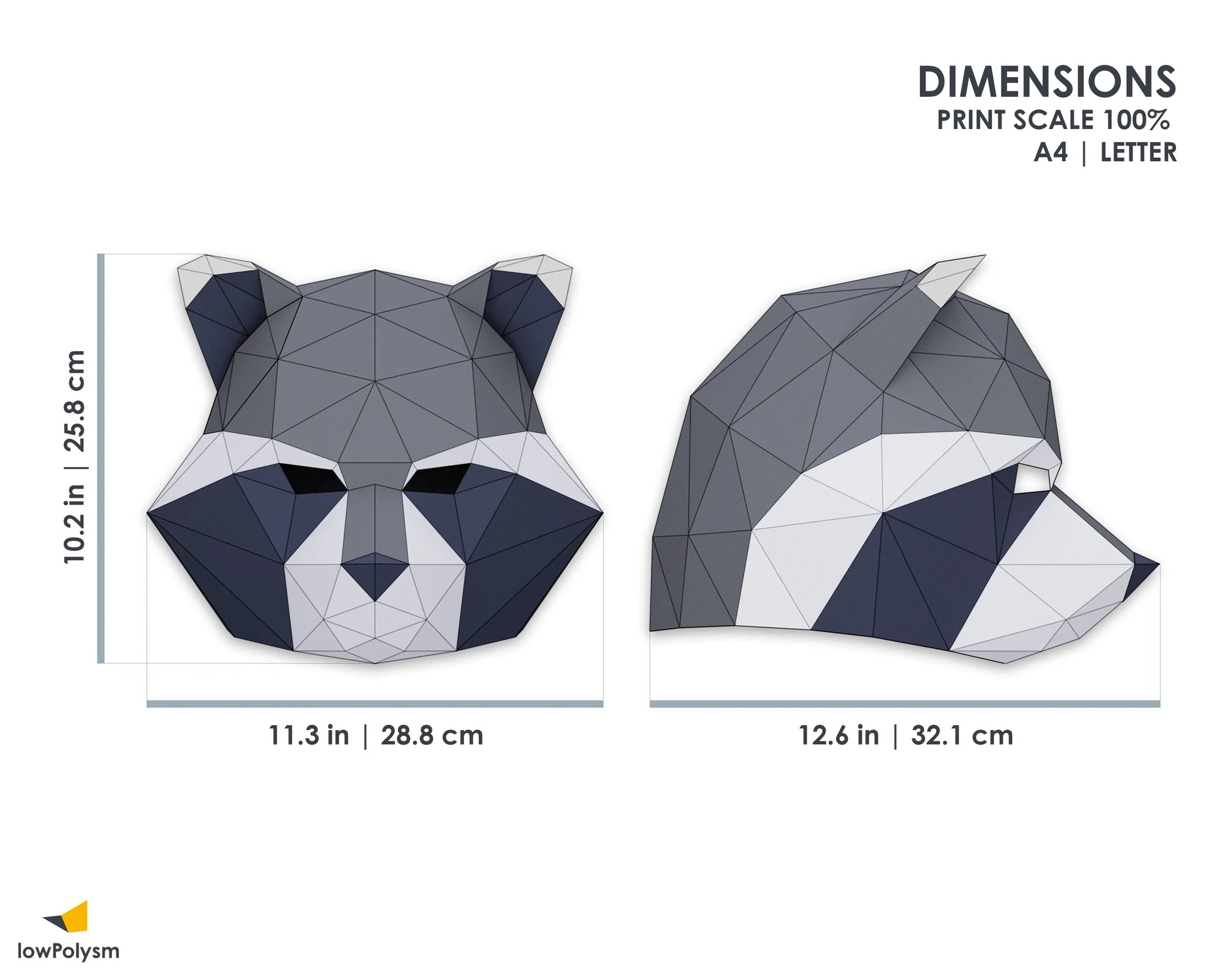 Front and side view dimensions of the 3D low-poly raccoon papercraft mask template showing width, height, and depth measurements for printable assembly.